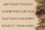 Weekend Surprise, a Serif Font by FreshTypeINK (Thumbnail 8 of 8)
