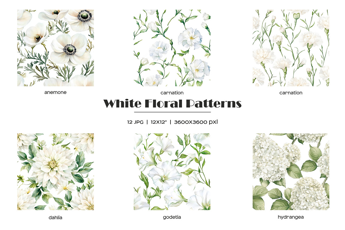 Watercolor white flowers patterns, a Pattern Graphic by Art and Funny (Photo 2 of 7)