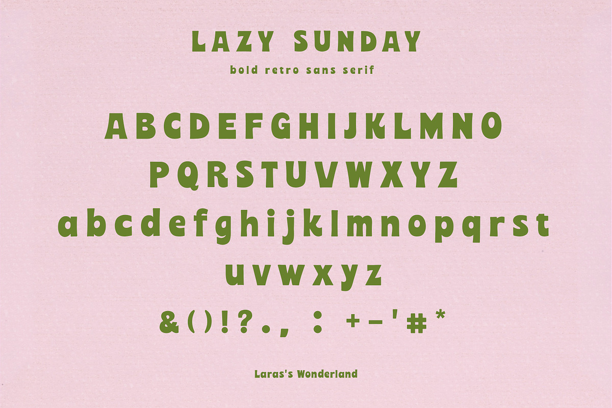 Vintage Script & Sans Bold Font Duo, a Handwritten Font by Laras Wonderland (Photo 19 of 19)