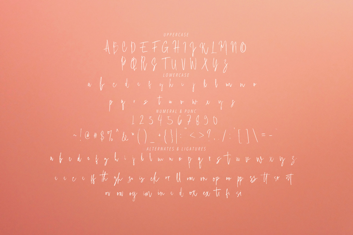 Gastovali - Signature Brush, a Handwritten Font by tebaltipislab (Photo 10 of 11)