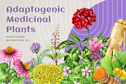 Adaptogenic Medicinal Plant Clipart, a Healthcare Illustration by AnitaPol (Thumbnail 1 of 24)