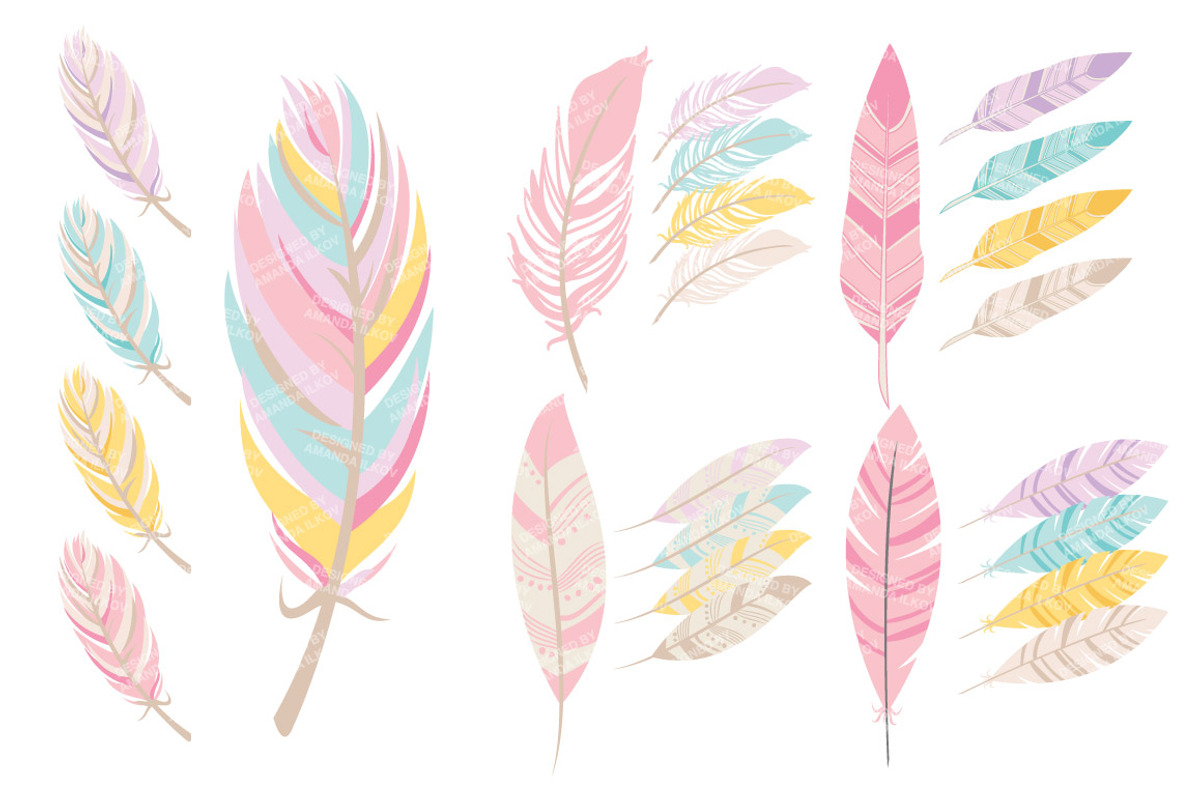 Pink Feathers Clipart & Vectors, an Illustration by Amanda Ilkov (Photo 4 of 4)