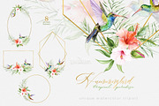 Hummingbird Birds Collection, an Illustration by ReachDreams (Thumbnail 1 of 6)