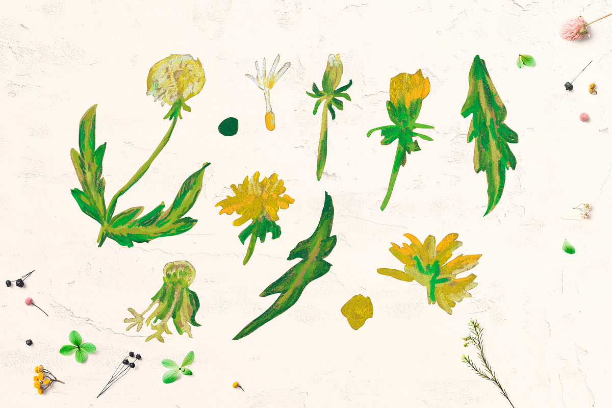 Cute Crayon Child Dandelion Flower, a Healthcare Illustration by Lucyinyourheart (Photo 3 of 6)