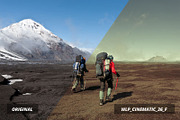 3d Luts - Cinematic Film Looks vol 2, a Preset Add-On by WeLovePresets (Thumbnail 18 of 21)