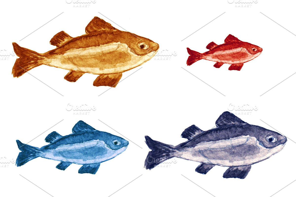 Watercolor Sea life, an Animal Illustration by Color_Brush (Photo 5 of 9)