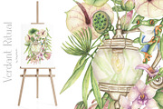 Watercolor Verdant Ritual Collection, a Decorative Illustration by MayaNavits (Thumbnail 13 of 13)