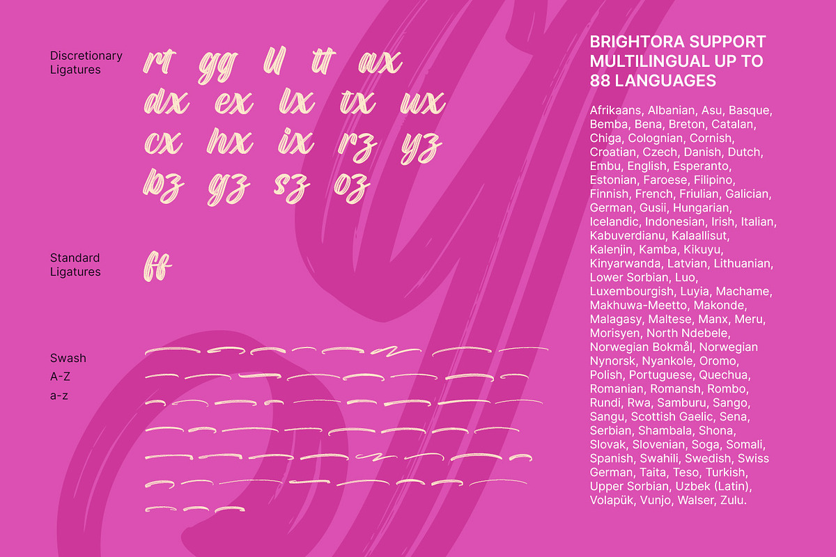 Brightora, a Script Font by Nathatype (Photo 10 of 15)