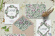 Catnip, a Texture Illustration by Soir Creative (Thumbnail 6 of 6)