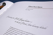 Alipe Script, a Script Font by TeGeType foundry (Thumbnail 2 of 6)