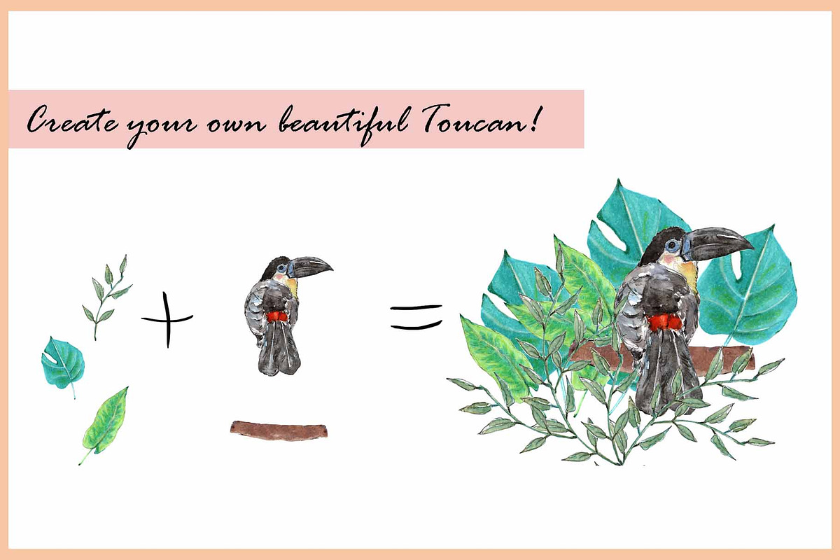 Rhino & Toucan-Watercolor Clipart, an Illustration by VianneArt (Photo 4 of 7)