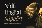 Starlight – Stylish Editorial Font, a Serif Font by Sensatype (Thumbnail 17 of 17)