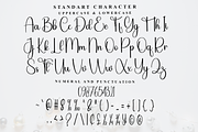 Snowing Outside, a Handwritten Font by FreshTypeINK (Thumbnail 2 of 8)