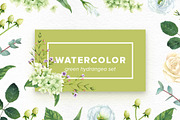 Watercolor Green Hydrangea Set, an Object Graphic by Kotulska (Thumbnail 1 of 4)