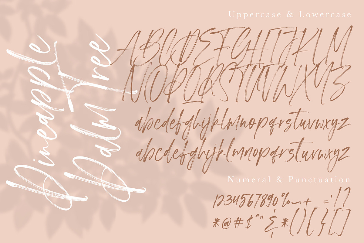 Pineapple Palm Tree - Handwritten..., a Script Font by Megi Satyo Widodo (Photo 18 of 19)
