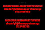 Genoir – Bold Display Font Family, a Font by Digitype Studio (Thumbnail 10 of 10)
