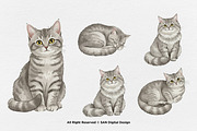 15 Bundle Watercolor Grey Cats Pet, an Animal Illustration by Morspective (Thumbnail 6 of 15)