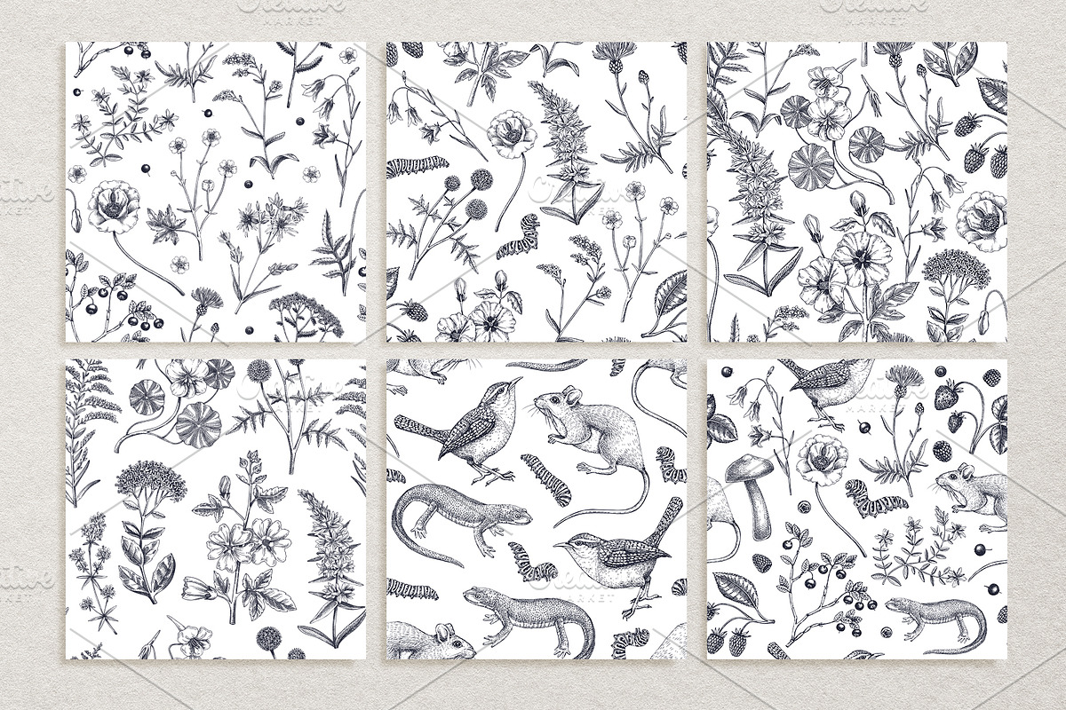 Vector Animals & Summer Flowers Set, a Seasonal Illustration by Yevheniia (Photo 12 of 14)