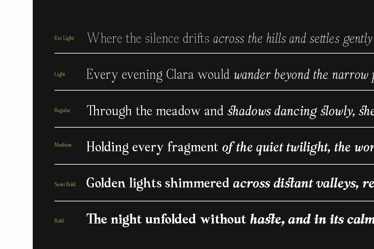 Panasea | 12 Fonts, a Serif Font by Skinny Type (Photo 3 of 15)