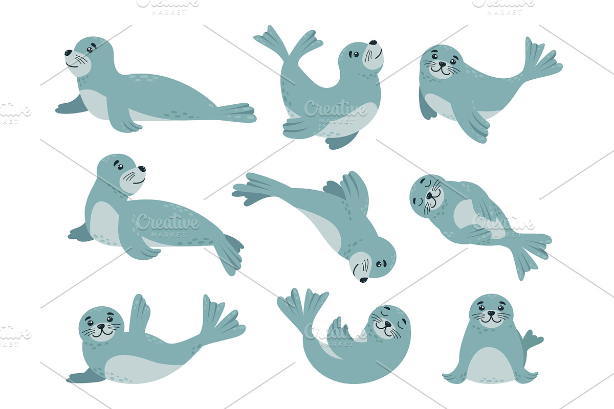Cartoon baby seal. Funny arctic, an Animal Illustration by LadadikArt