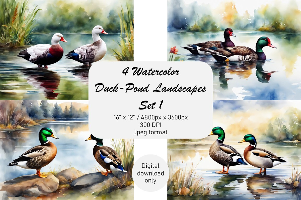 Watercolor Duck Pond Set 1, an Animal Illustration by Kat's Artful Creations (Photo 1 of 9)
