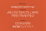 Outlander Signature, a Handwritten Font by typeline studio (Thumbnail 6 of 6)