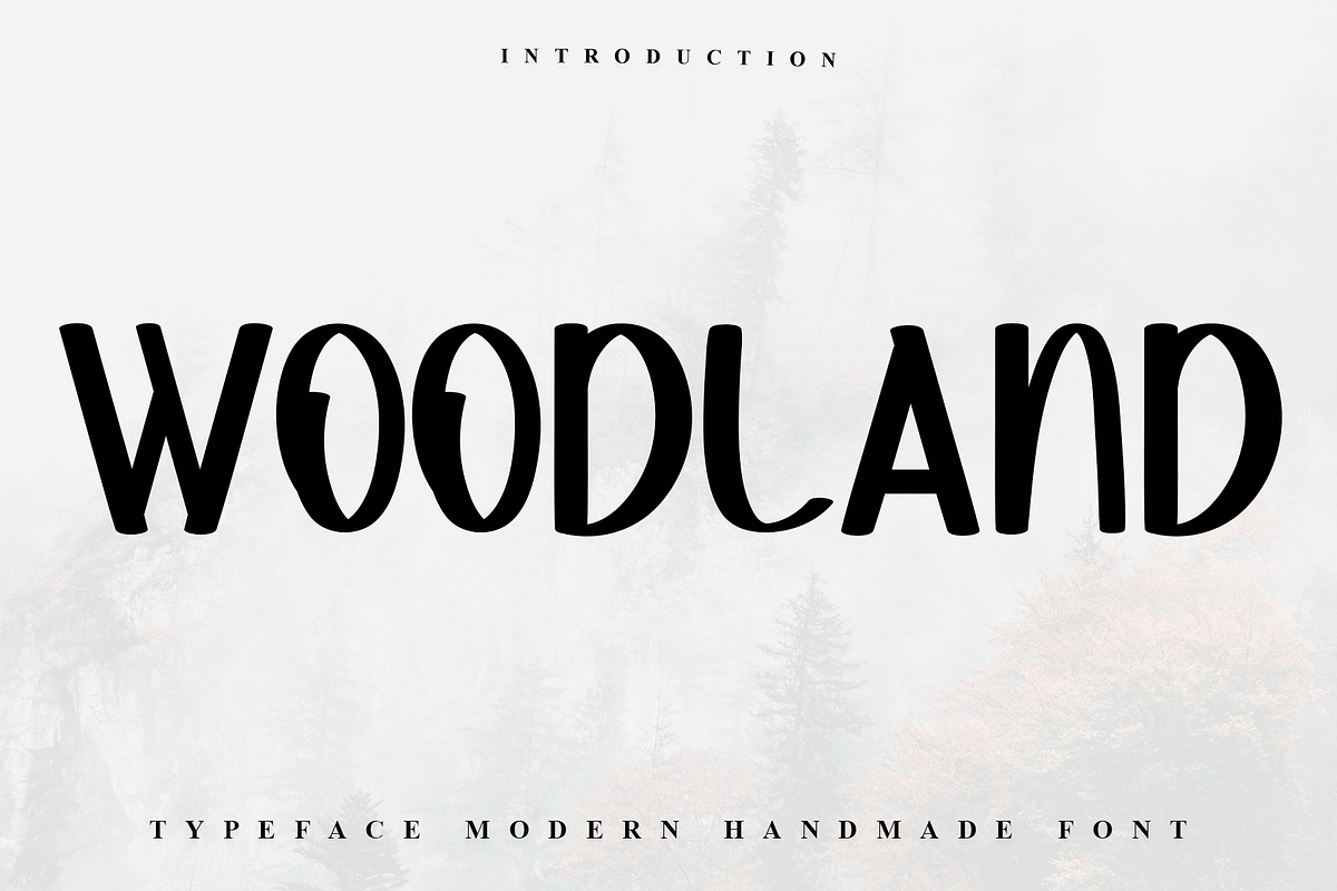Woodland, a Sans Serif Font by InermediaSTUDIO (Photo 1 of 7)