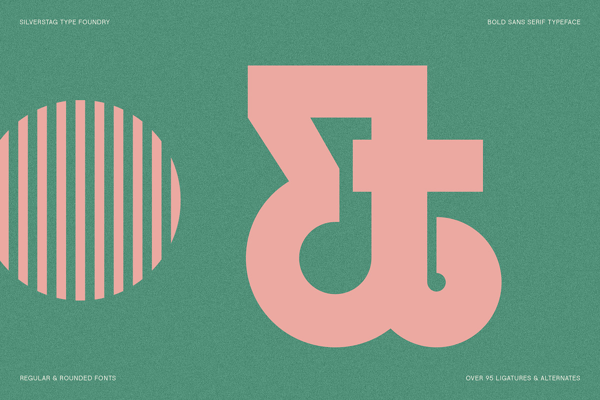 FlyBridge - Bold Ligature Rich Sans, a Sans Serif Font by SilverStag Type Foundry (Photo 5 of 30)