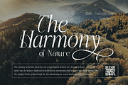 Brisme - Modern Luxury Serif Font, a Serif Font by Pixesia Studio (Thumbnail 3 of 12)