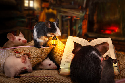Cute mice reading a book