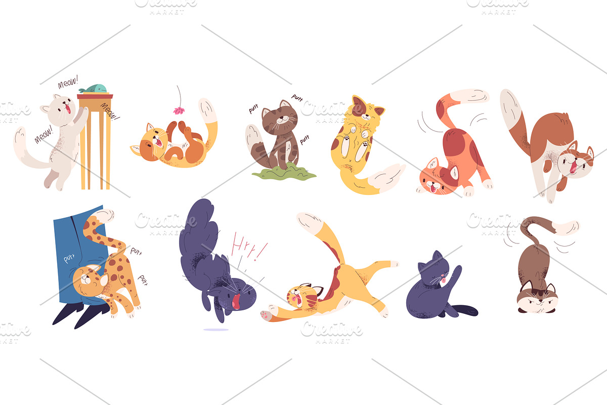 Cat behavior. Cats body language, an Animal Illustration by Stock-Smart-Start