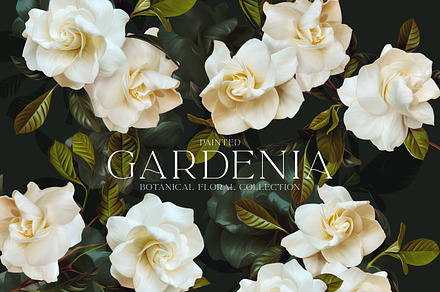 Gardenia Botanical Pattern Kit, a Pattern Graphic by Eclectic Anthology