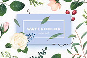 Watercolor Floral Bundle, an Object Illustration by Kotulska (Thumbnail 5 of 21)