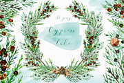 Cypress. Watercolor clipart, a Decorative Illustration by LABFcreations (Thumbnail 4 of 12)