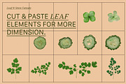 PRESSED BOTANY Floral & Fruit Cutout, an Object Graphic by Desert Poetic (Thumbnail 9 of 10)