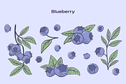 Berries Vector Illustration Pack, an Illustration by Castula (Thumbnail 5 of 17)