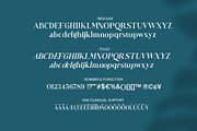 Bezoria - Elegant Serif Font, a Sans Serif Font by RHD Creative Studio (Thumbnail 8 of 9)