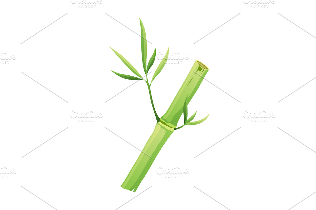 Bamboo green stalk, icon. Stem, an Object Illustration by Things for designers