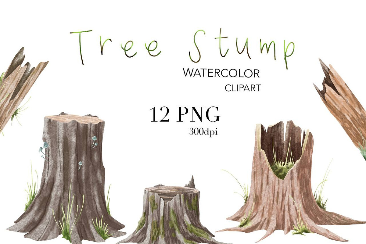 Tree Stump watercolor Clipart., a Decorative Illustration by NKTKNS (Photo 1 of 5)