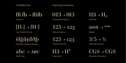 Cardillac Text, a Serif Font by Hoftype (Thumbnail 14 of 15)