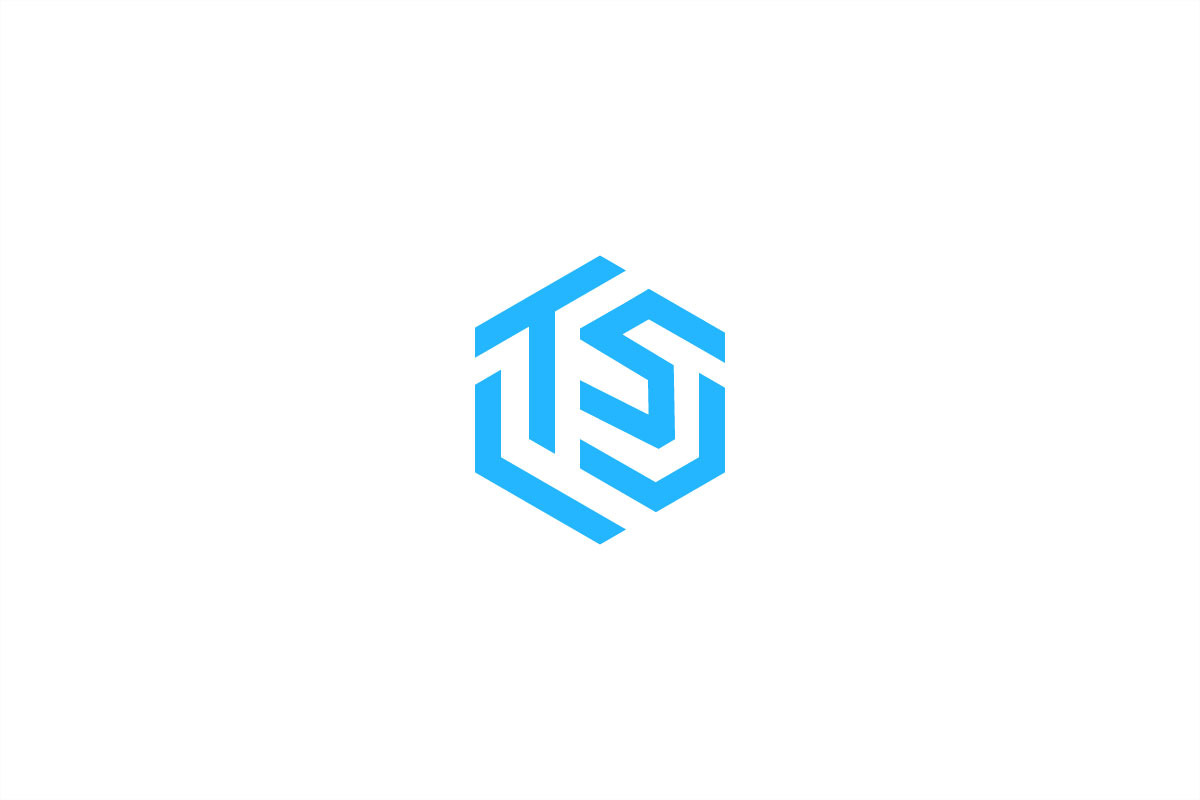 TS Monogram Logo - Modern & Geometric preview 6