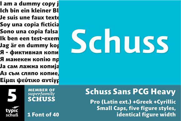 SchussSansPCGHeavy No.05 (1 Font) preview 6
