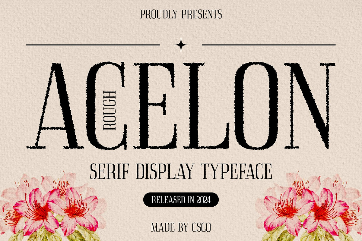 Acelon Rough, a Serif Font by Craft Supply Co. (Photo 1 of 8)