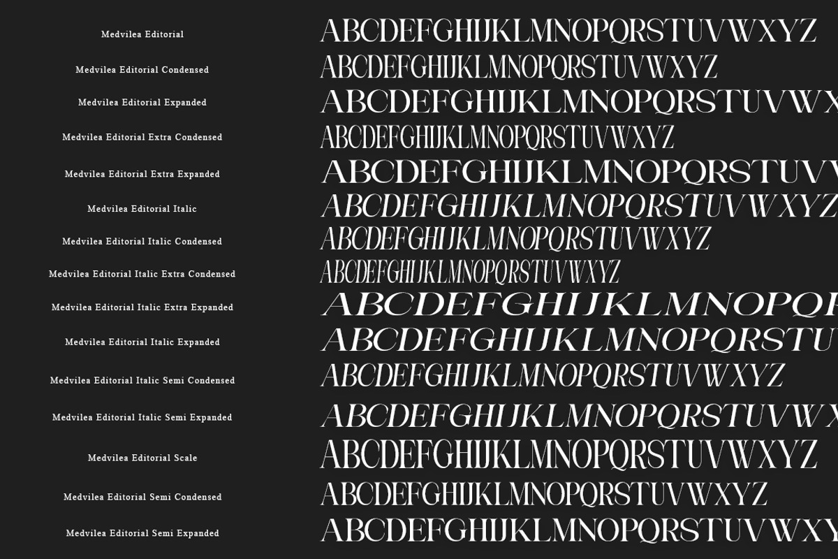 Medvilea Editorial | 15 Style Font, a Serif Font by IM Studio (Photo 13 of 13)