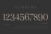 Klausen - Stylish All Caps Serif, a Serif Font by AlienValley (Thumbnail 8 of 9)