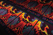 Phoenix Illustrated Flyer, a Flyer Template by ashenterprise (Thumbnail 2 of 3)