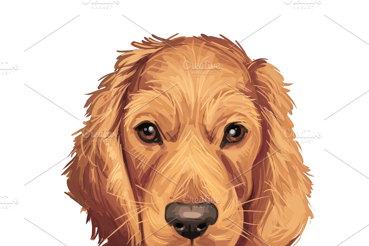 Dogs Cross Breeds 56 Animals Bundle, an Animal Illustration by Dneprstock (Photo 13 of 55)