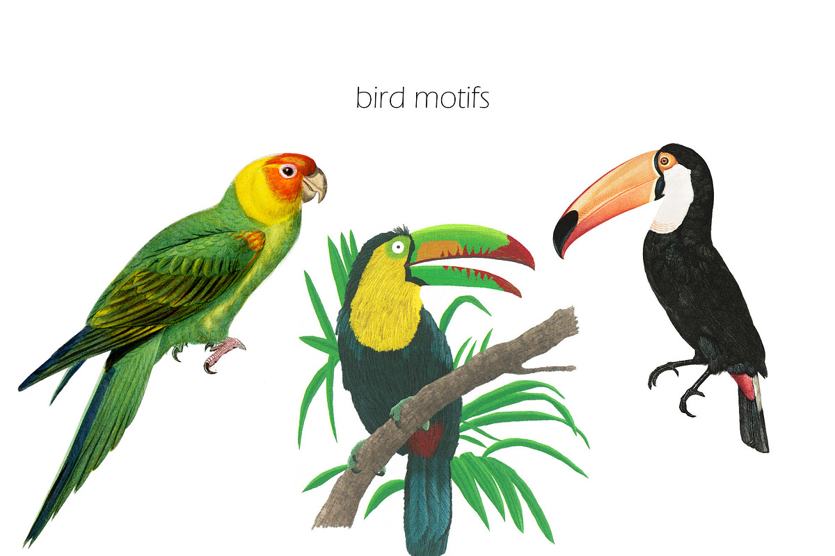 SPRING FLOWERS AND BIRDS PATTERN, a Pattern Graphic by gmzgns (Photo 5 of 8)