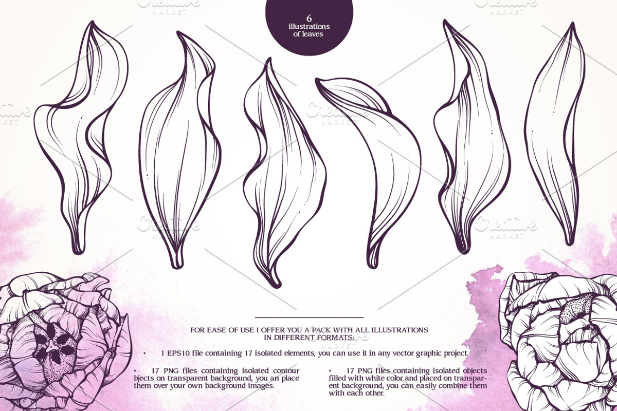 Vector set of linear flowers graphic, a Decorative Illustration by Color and Decor (Photo 3 of 5)