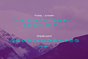 Mayland Font Duo, a Font by Newface (Thumbnail 5 of 6)